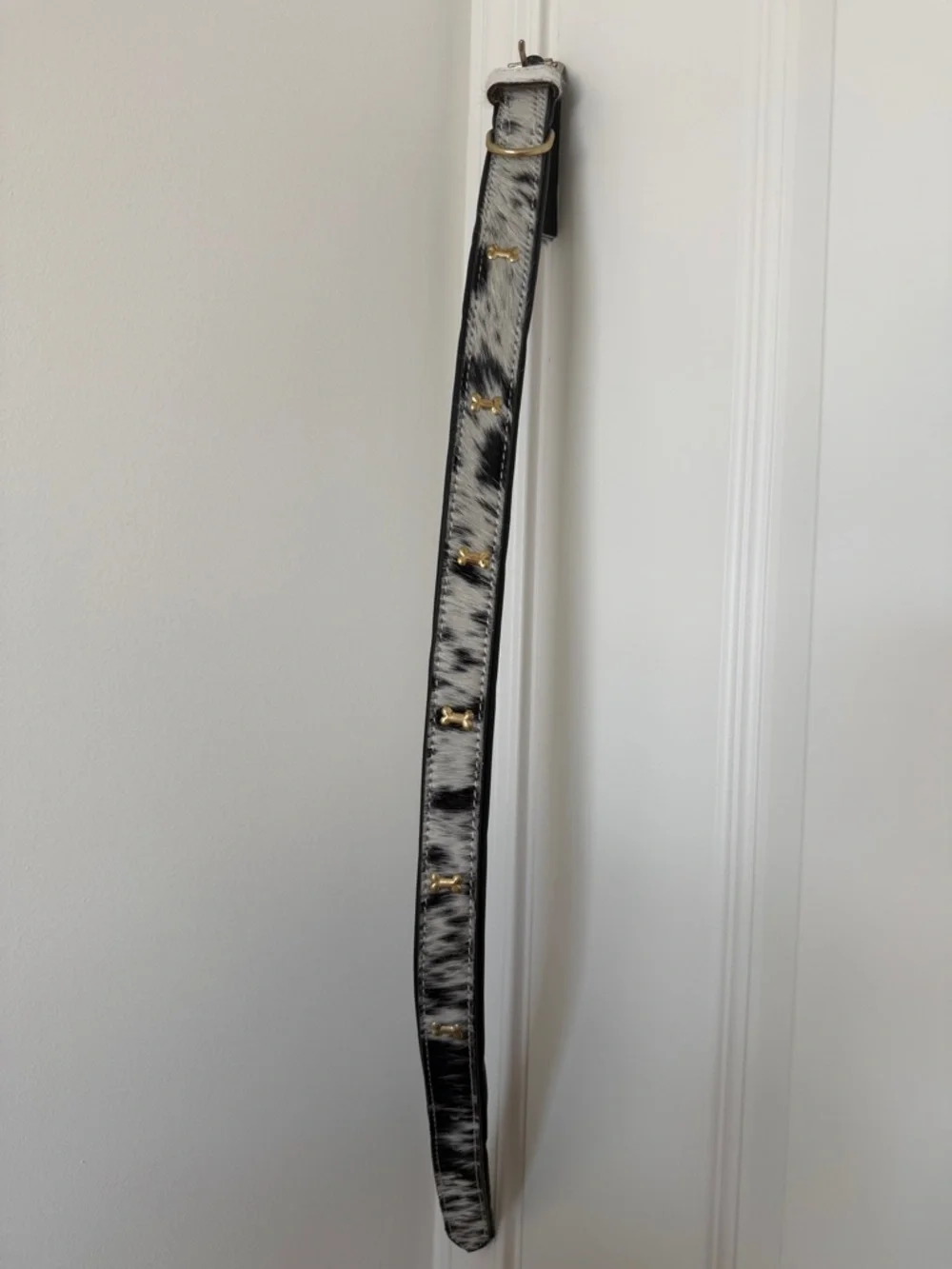 Myra Bag Black and White Cowhide Leather Dog Collar with Gold Hardware